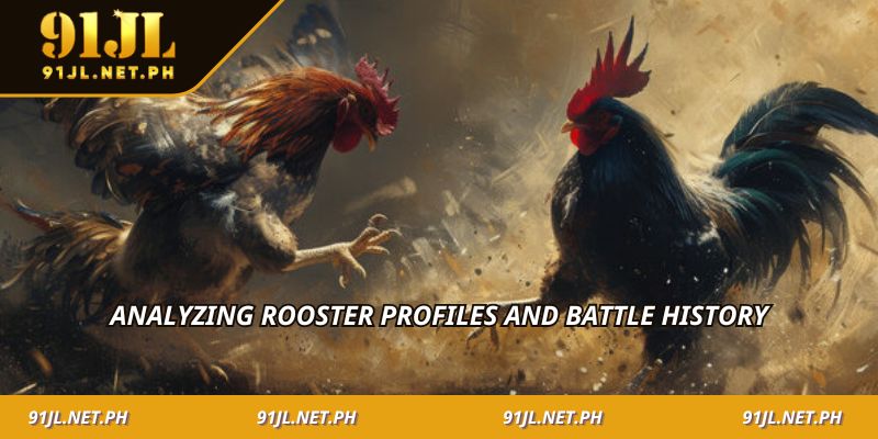Analyzing rooster profiles and battle history