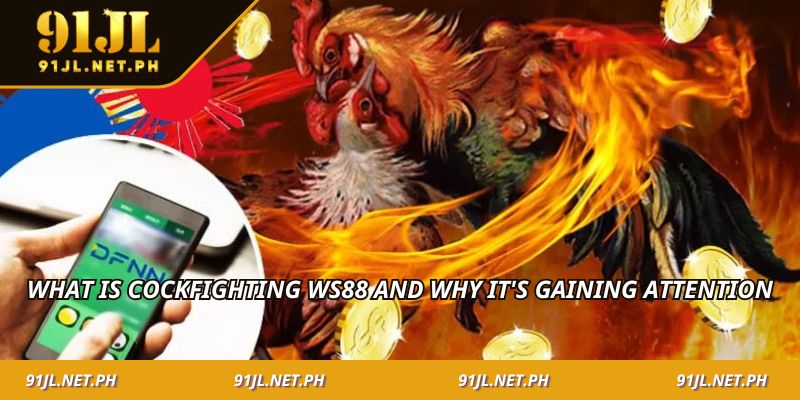 What is cockfighting WS88 and why it's gaining attention