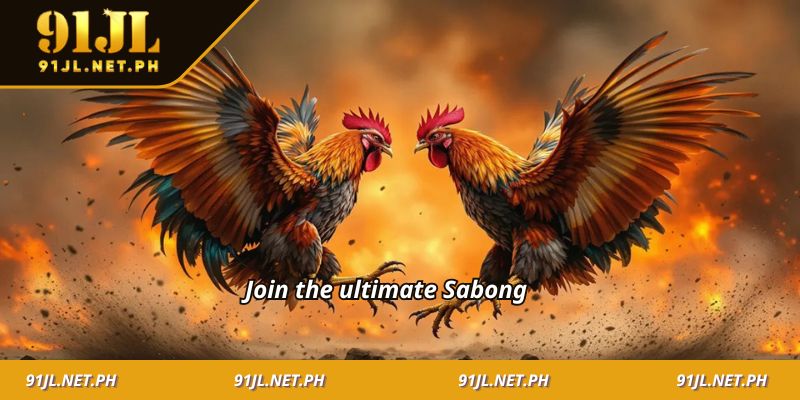 Join the ultimate Sabong