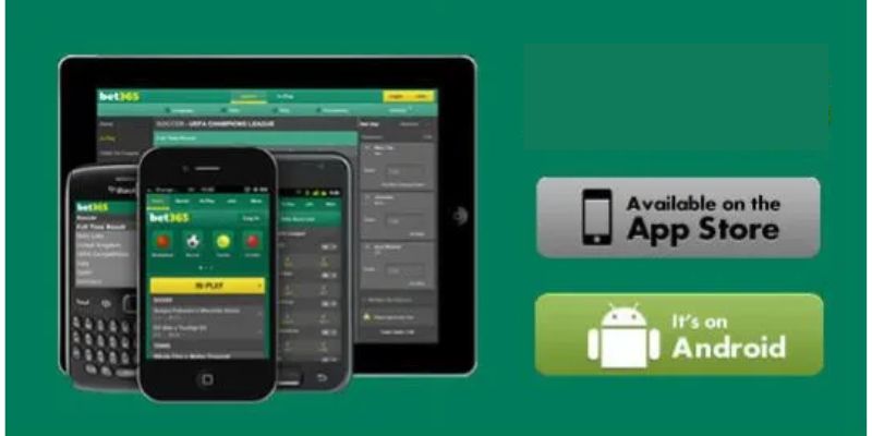 android-betting-app-bangladesh-Responsible